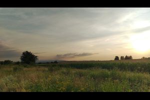 Lesezirkel: Naturdichtung der Gegenwart (Fortsetzung)